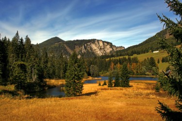 东莞谢岗民间私贷攻略：揭秘低成本借贷的秘密